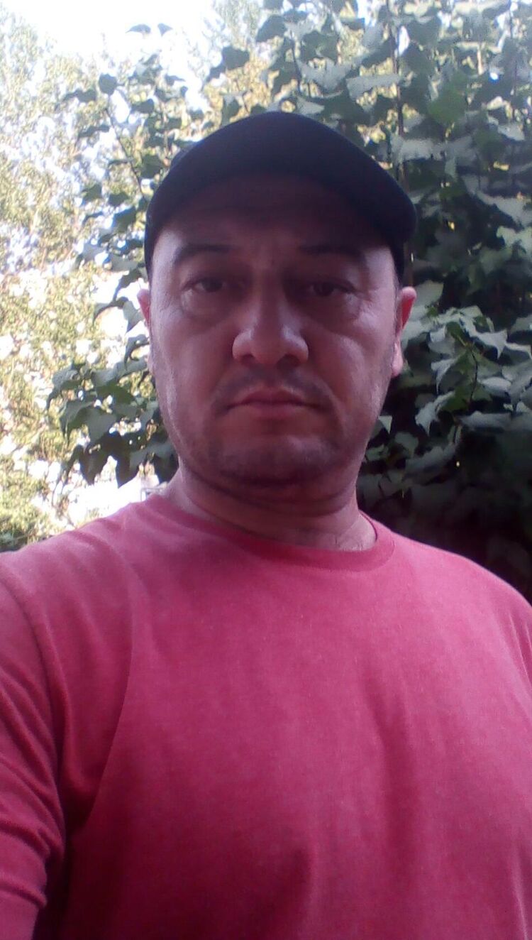  49780580  , 50 ,    