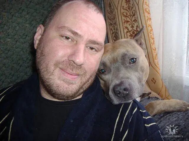 ���� 41143650 ������� ����, 55 ���, ���� ���������� � ����������