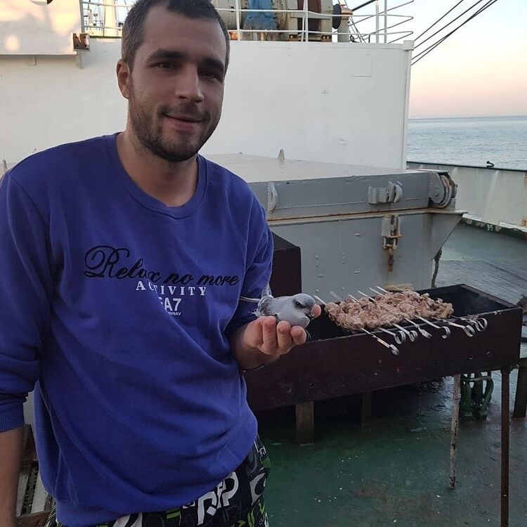 ���� 11408670 ������� SAM, 56 ���, ���� ���������� � ������������