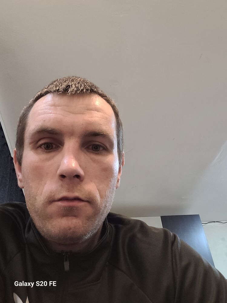  53822520  , 33 ,    