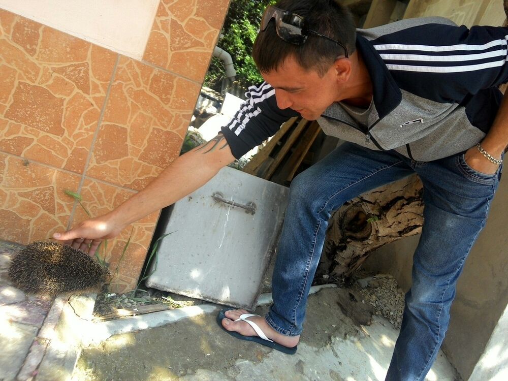 ���������� ������, ���� ������� ������, 36 ���, ������������ ��� ������, ����� � ���������, c�������� ���������