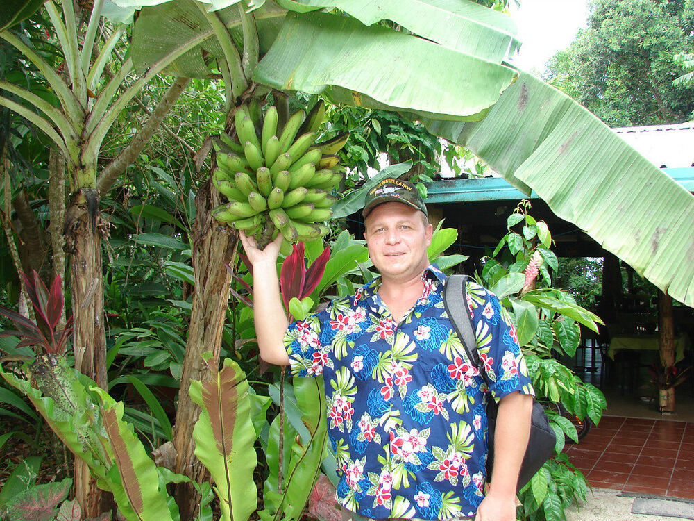 ���� 8614130 ������� ALEXEY, 50 ���, ���� ���������� � ���������