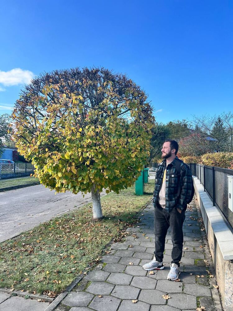 ���� 50404320 ������� ����___, 28 ���, ���� ���������� � ������