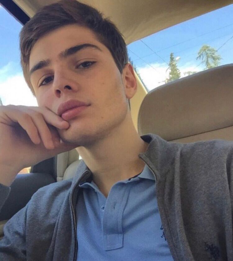 ���� 19951520 ������� No, 29 ���, ���� ���������� � �������