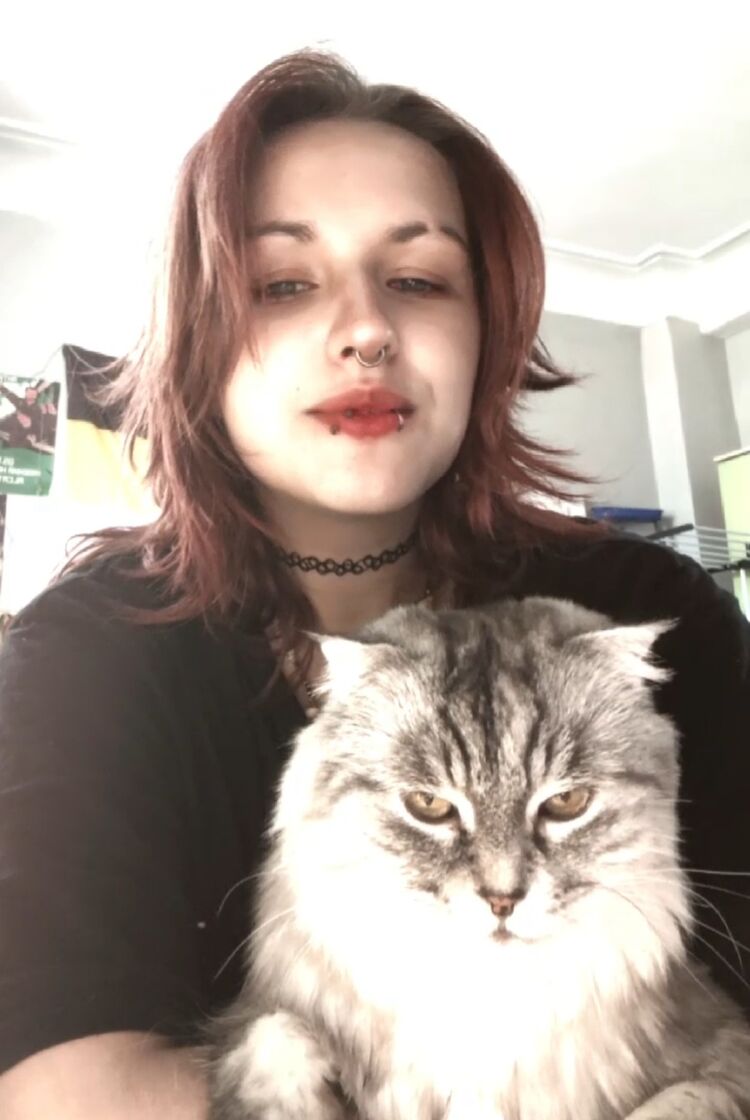 ���������� ������ ��������, ���� ������� ����, 20 ���, ������������ ��� c�������� ���������, ���������