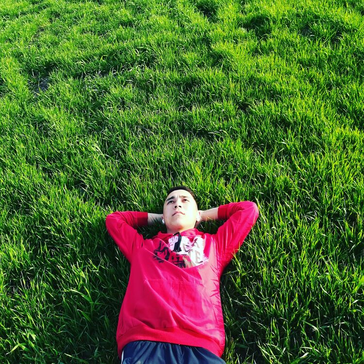 ���� 25785300 ����� ��������, 25 ���, ���� ���������� � �������