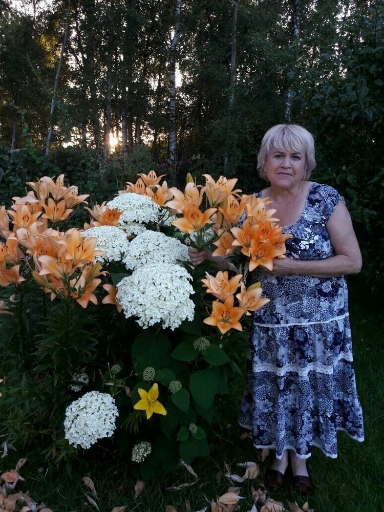  ,   , 65 ,   ,   , c 