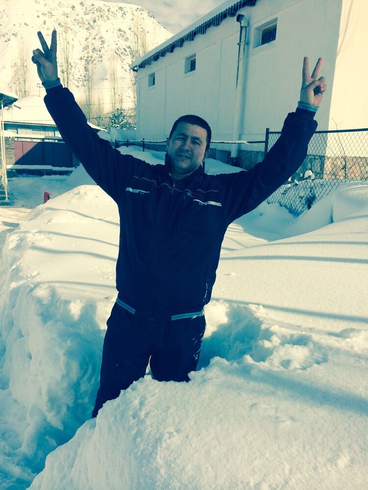 ���� 5555580 ������� Tarnado, 42 ����, ���� ���������� � ��������