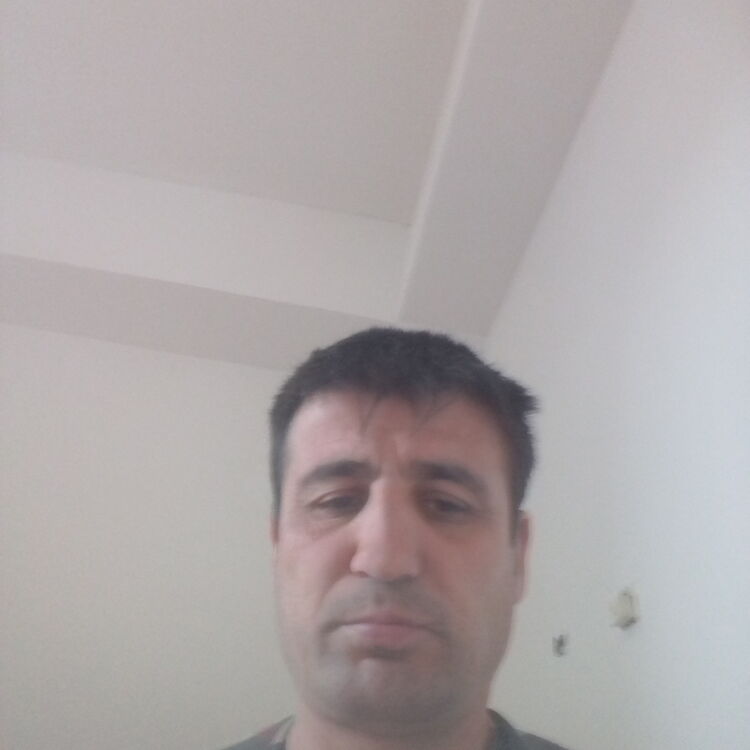  19472310  Gulmahmab, 47 ,    