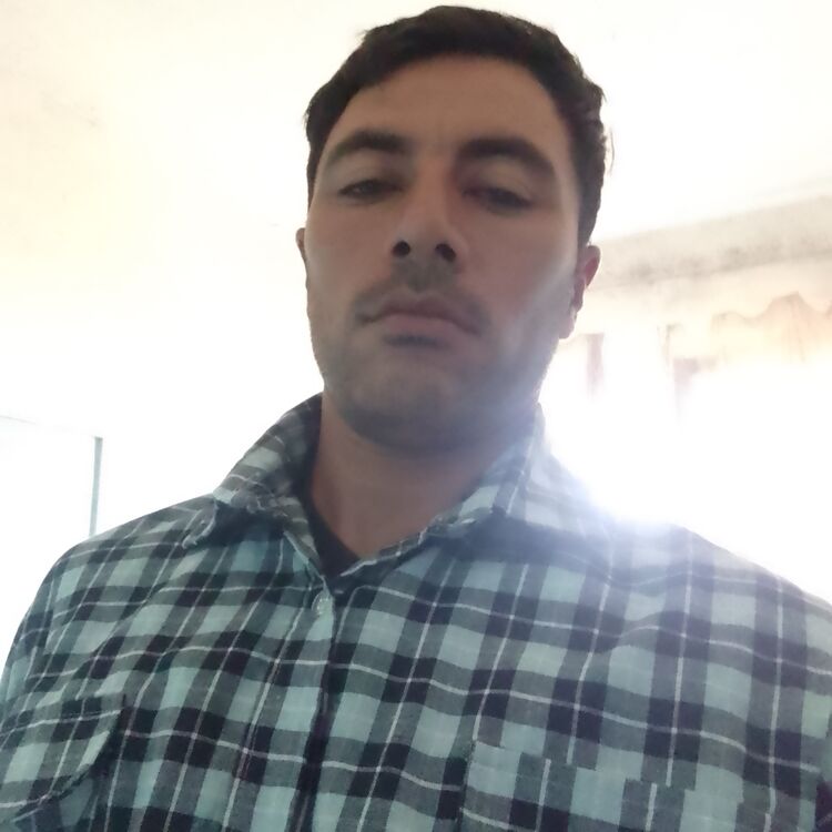  52088100  , 31 ,    