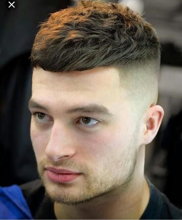 ���������� �����-���������, ���� ������� ����, 29 ���, ������������ ��� ������, ����� � ���������, c�������� ���������