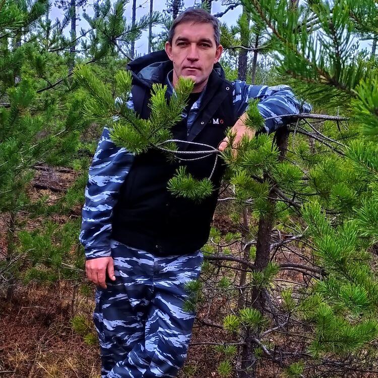 ���� 37870510 ������� �������, 48 ���, ���� ���������� � ����������