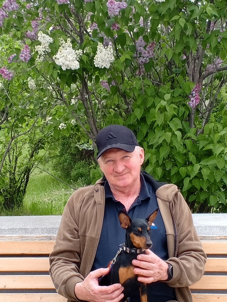 ���� 53810160 ������� �����, 66 ���, ���� ���������� � ��������