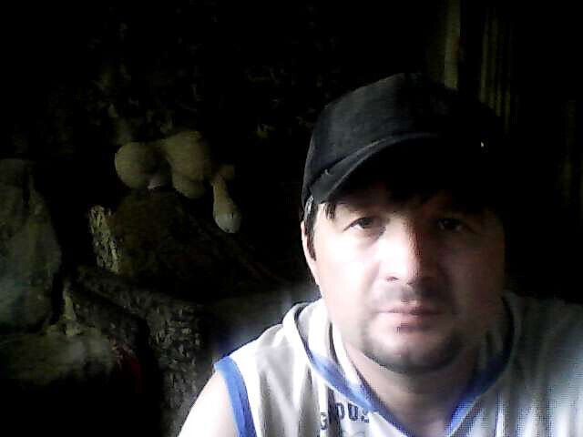 ���� 44488620 ������� �������, 44 ����, ���� ���������� � ������