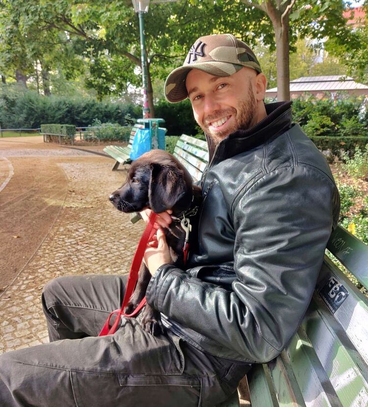 ���������� ���������, ���� ������� �������, 37 ���, ������������ ��� ����� � ���������, c�������� ���������, ���������