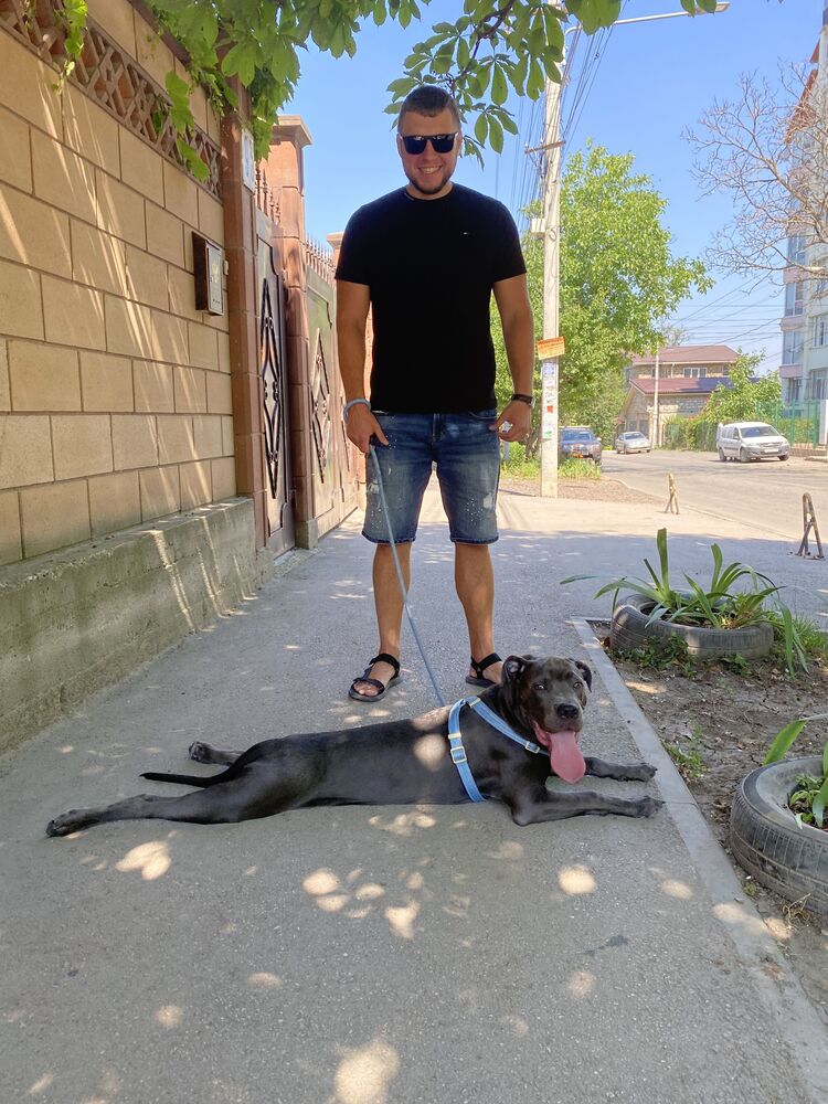 ���� 26045450 ������� ������, 35 ���, ���� ���������� � ������