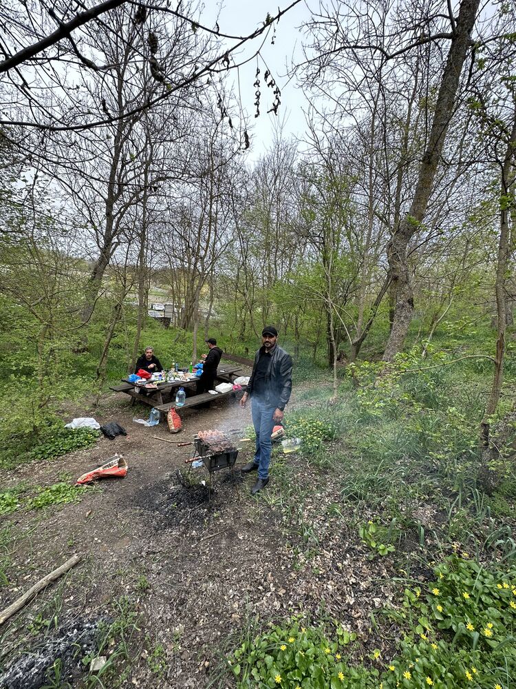 ���������� �����������, ���� ������� �����, 34 ����, ������������ ��� ������, ����� � ���������