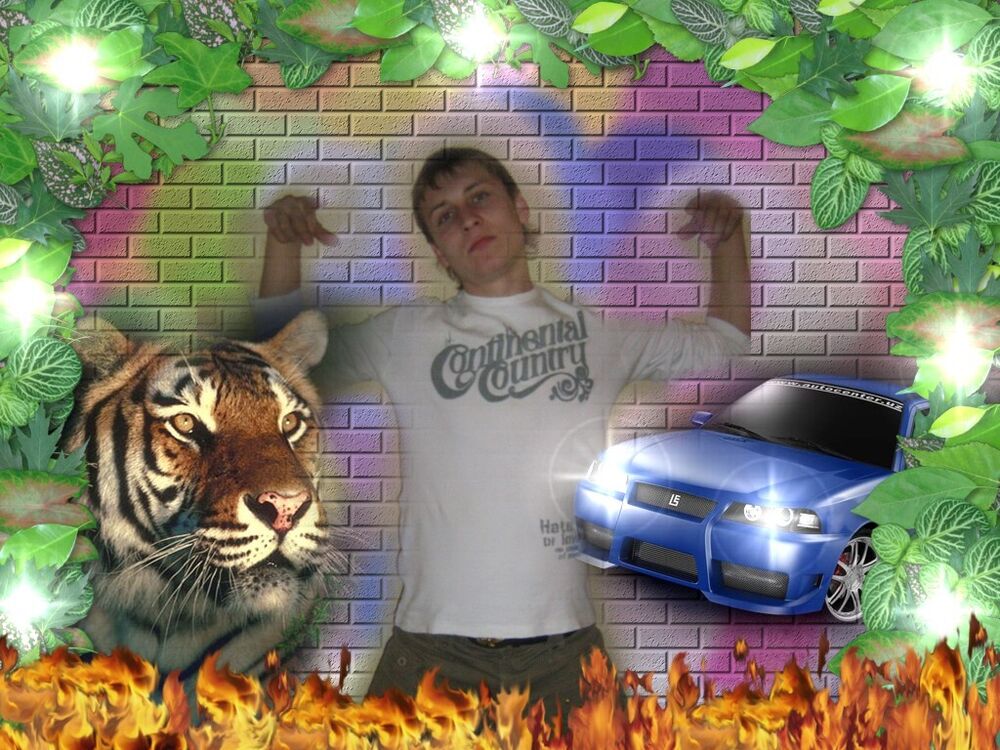 ���� 55661570 ������� ���������, 37 ���, ���� ���������� � ��������