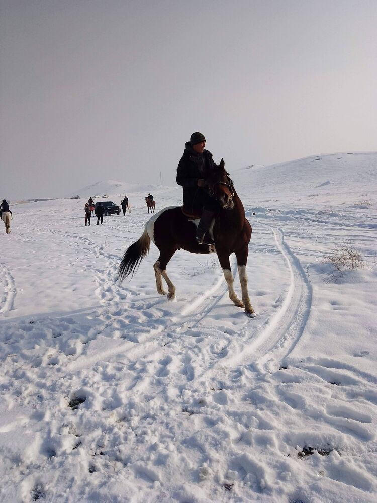  44352930  Ozod, 40 ,    