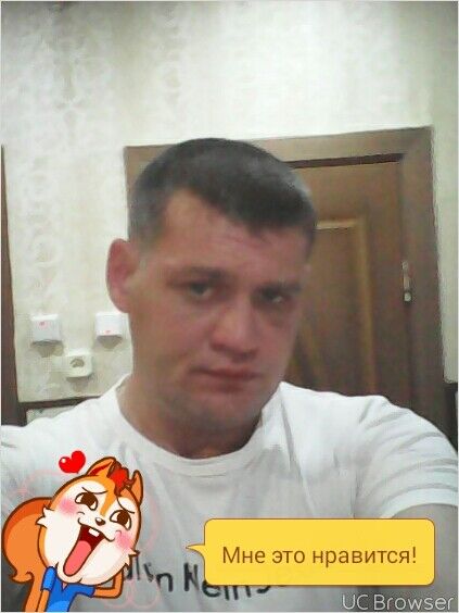  8238250  , 45 ,    -