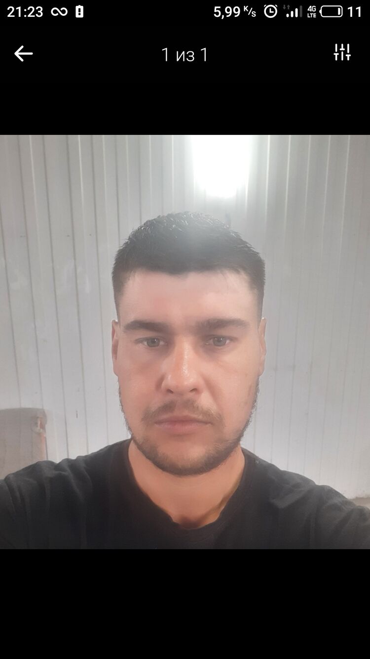  31776410  , 37 ,    
