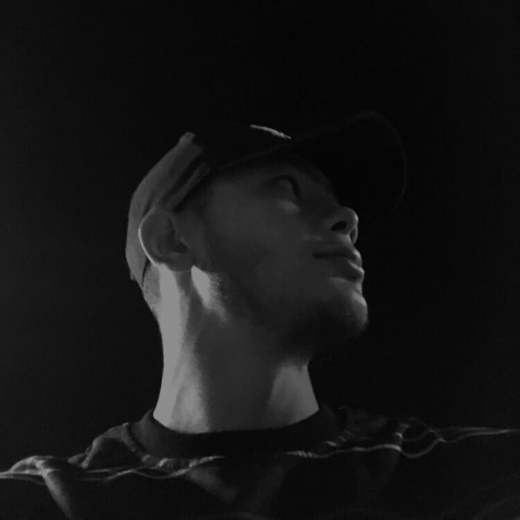  36183960  , 24 ,    