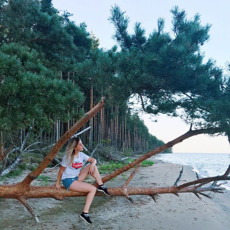  13958810  , 32 ,    -