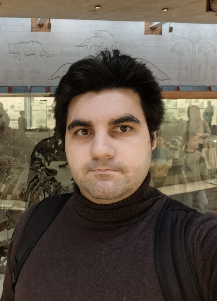 ���� 55136560 ������� �����, 36 ���, ���� ���������� � ����������