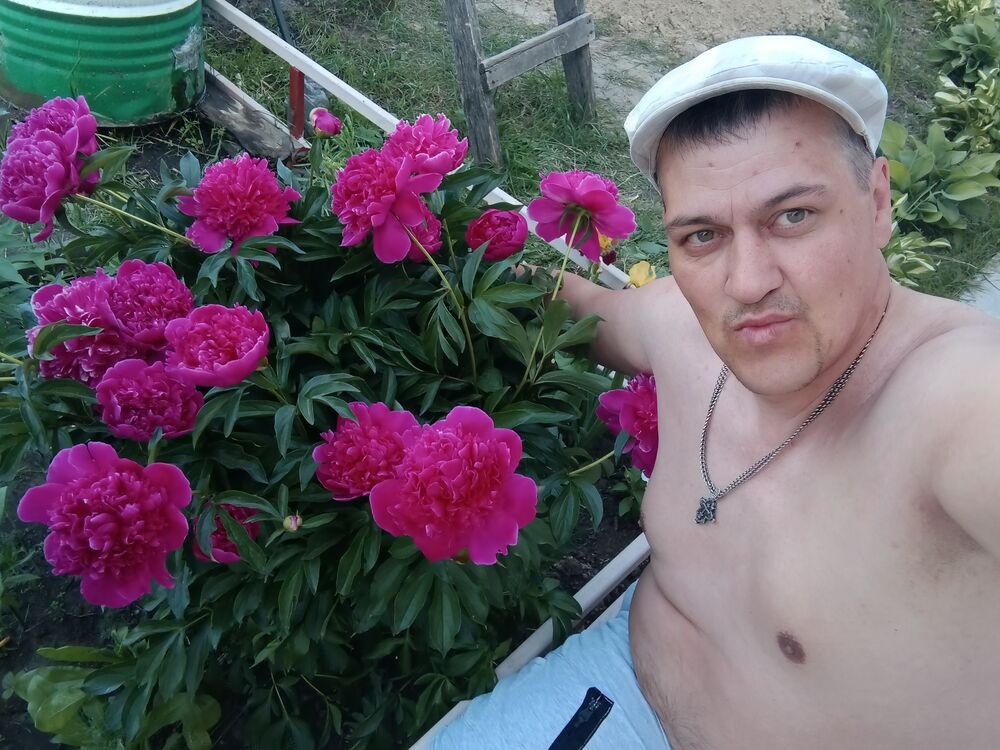  38676540  , 45 ,    