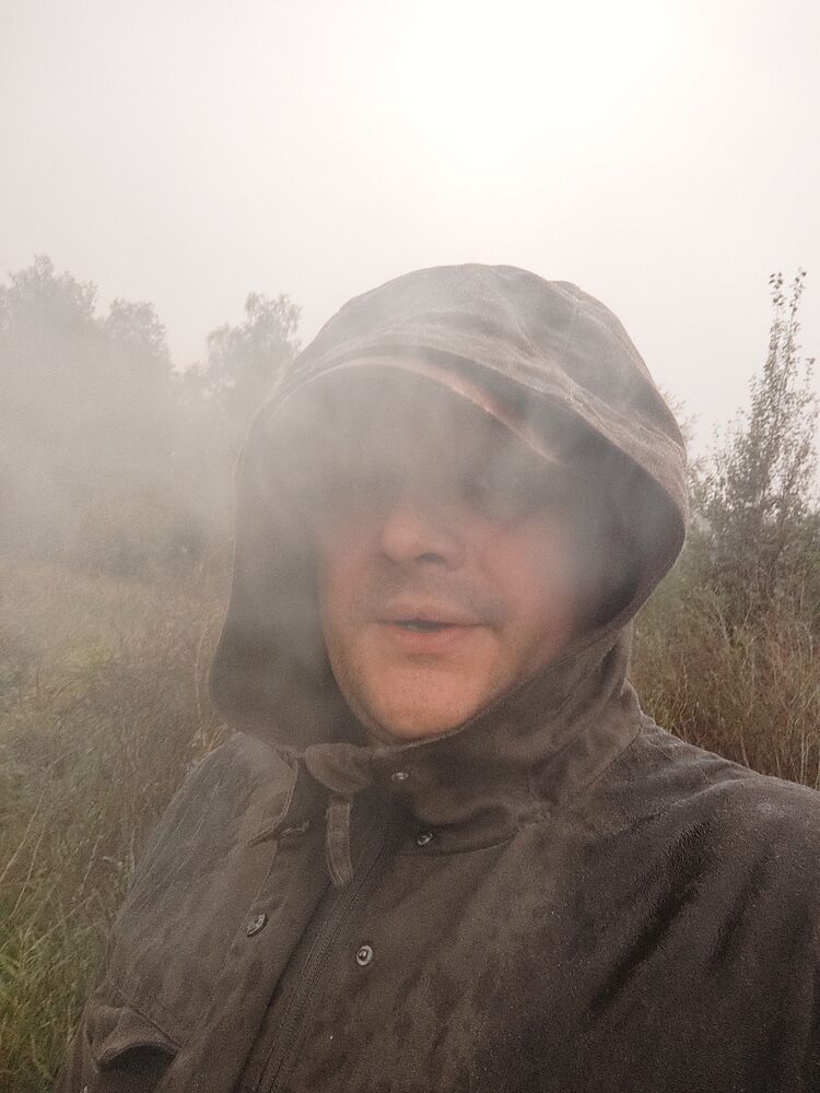 ���� 55296650 ������� ������, 36 ���, ���� ���������� � �������