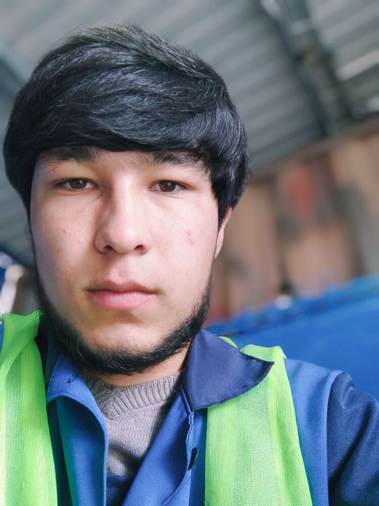  33652670  , 24 ,    -