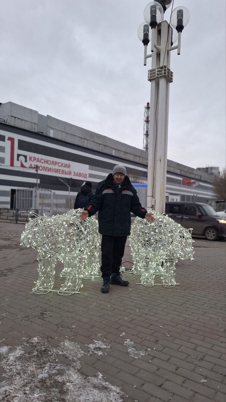 ���������� ���������, ���� ������� ������������, 36 ���, ������������ ��� ������, ����� � ���������