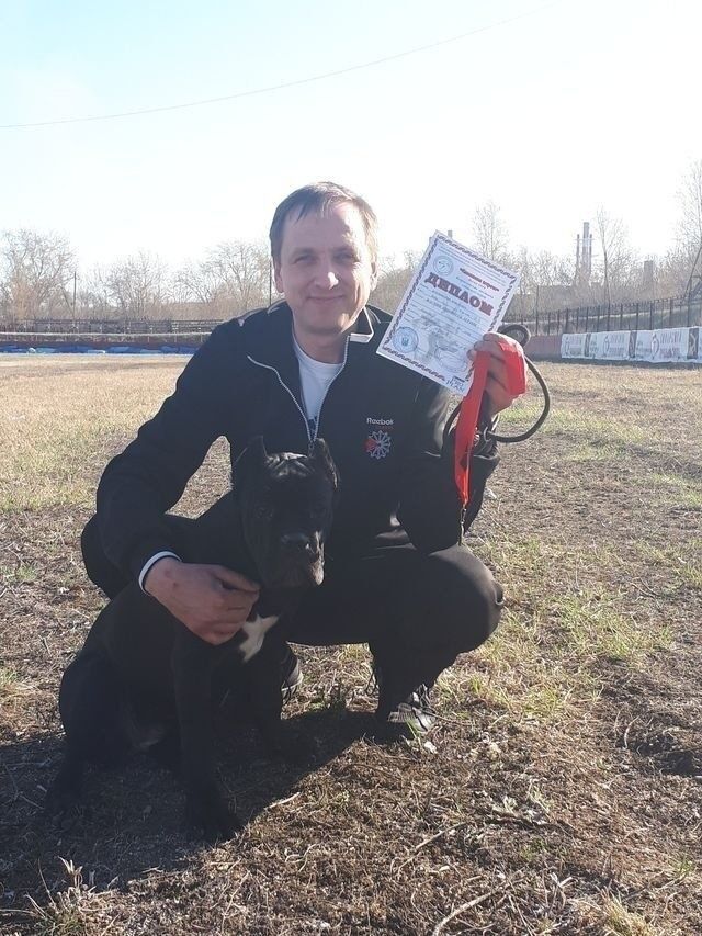 ���������� ������, ���� ������� �����, 45 ���, ������������ ��� ������, ����� � ���������, c�������� ���������