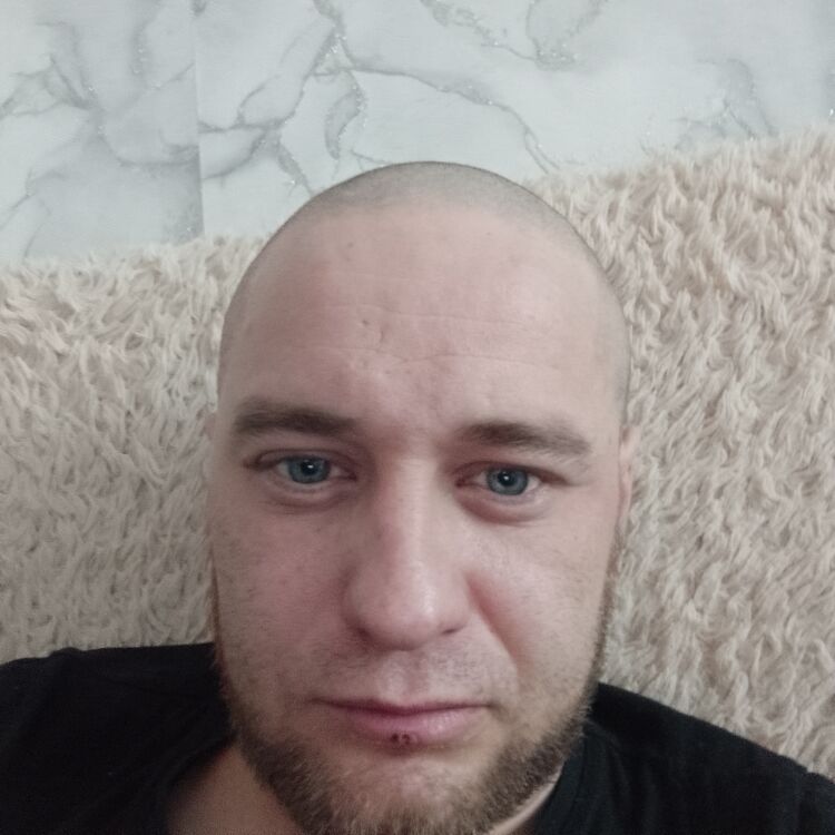  50006060  , 31 ,    