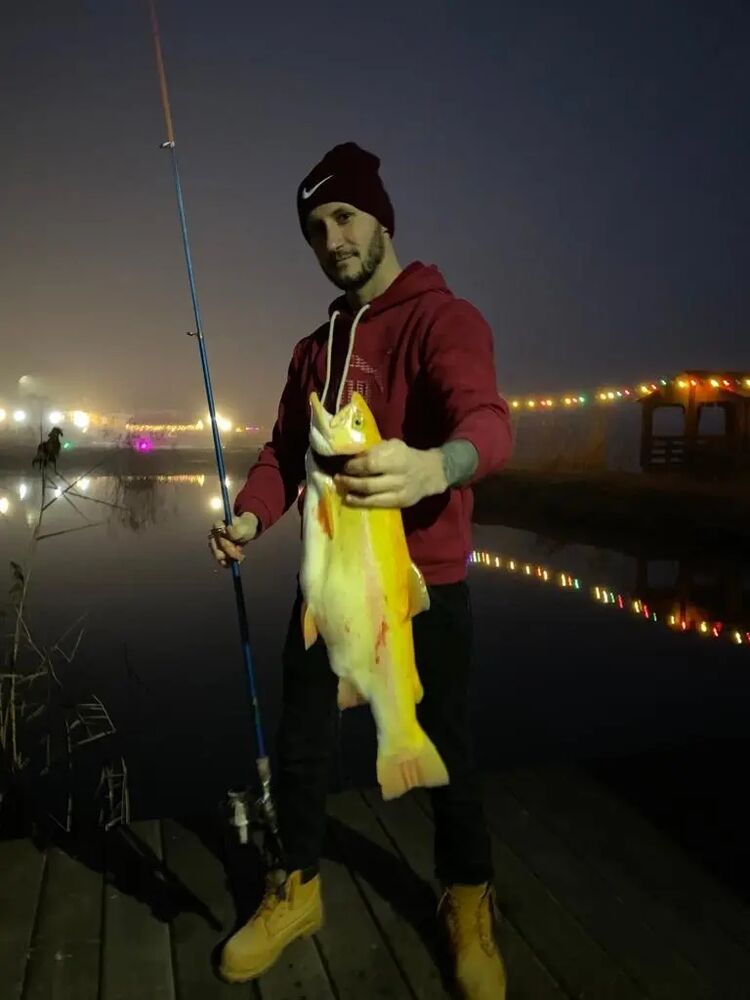 ���������� �������, ���� ������� ������, 33 ����, ������������ ��� ����� � ���������, c�������� ���������