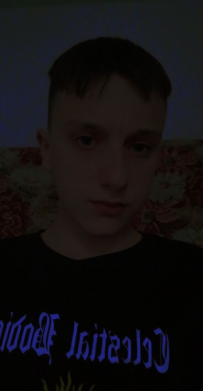  28268100  , 21 ,    -