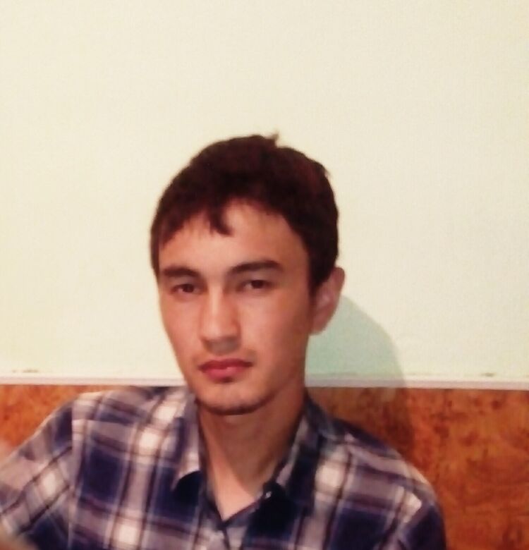  38203860  , 29 ,    