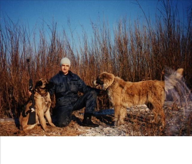  4255950  Vladimir, 50 ,    