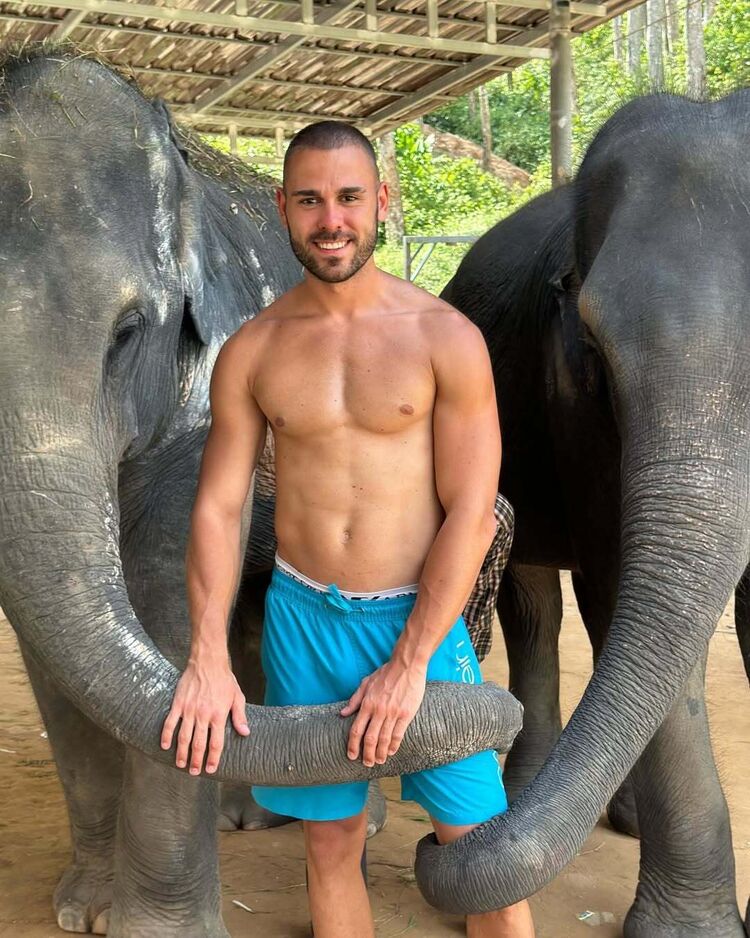  ,   , 36 ,   ,   , c , 