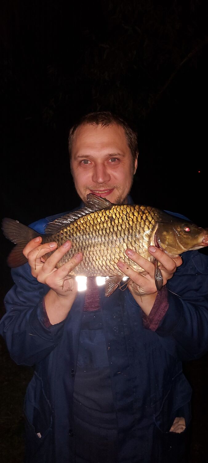 ���������� �������, ���� ������� �������, 37 ���, ������������ ��� ������, ����� � ���������, c�������� ���������