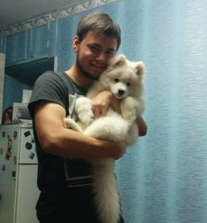 ���� 5133540 ������� �����, 48 ���, ���� ���������� � ���������