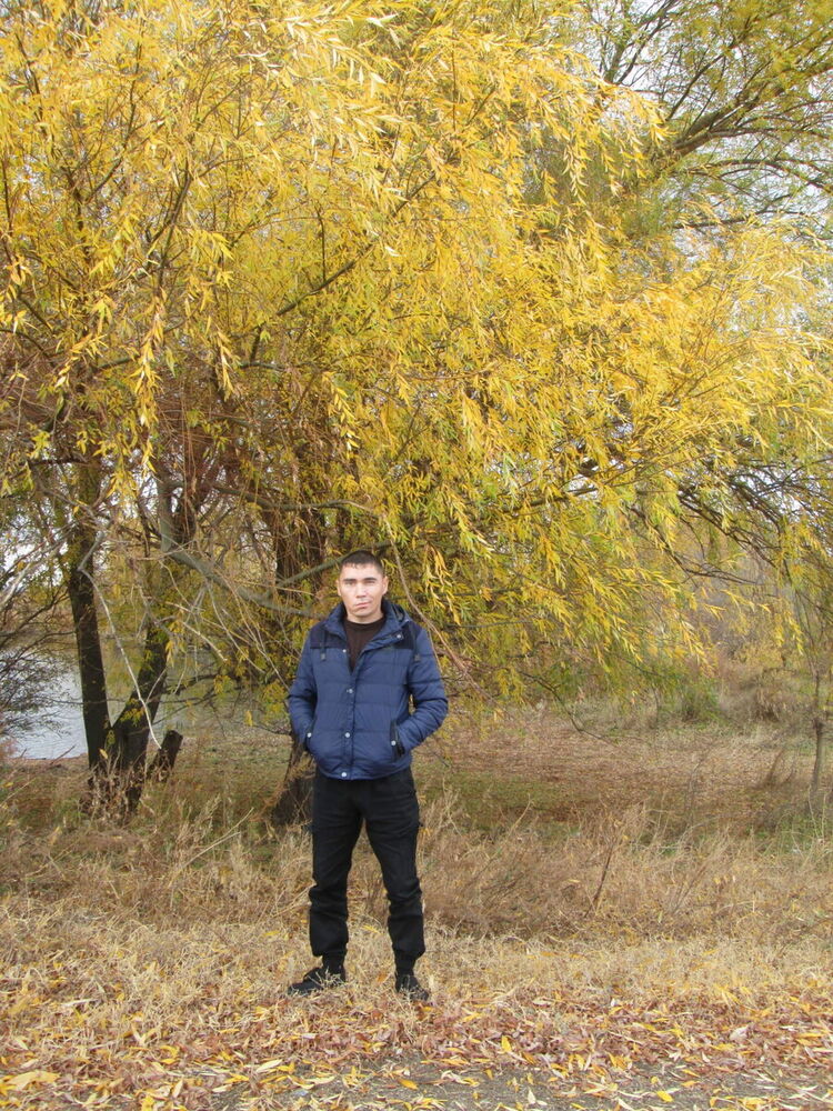 ���������� �������, ���� ������� �����, 41 ���, ������������ ��� ������, ����� � ���������, c�������� ���������