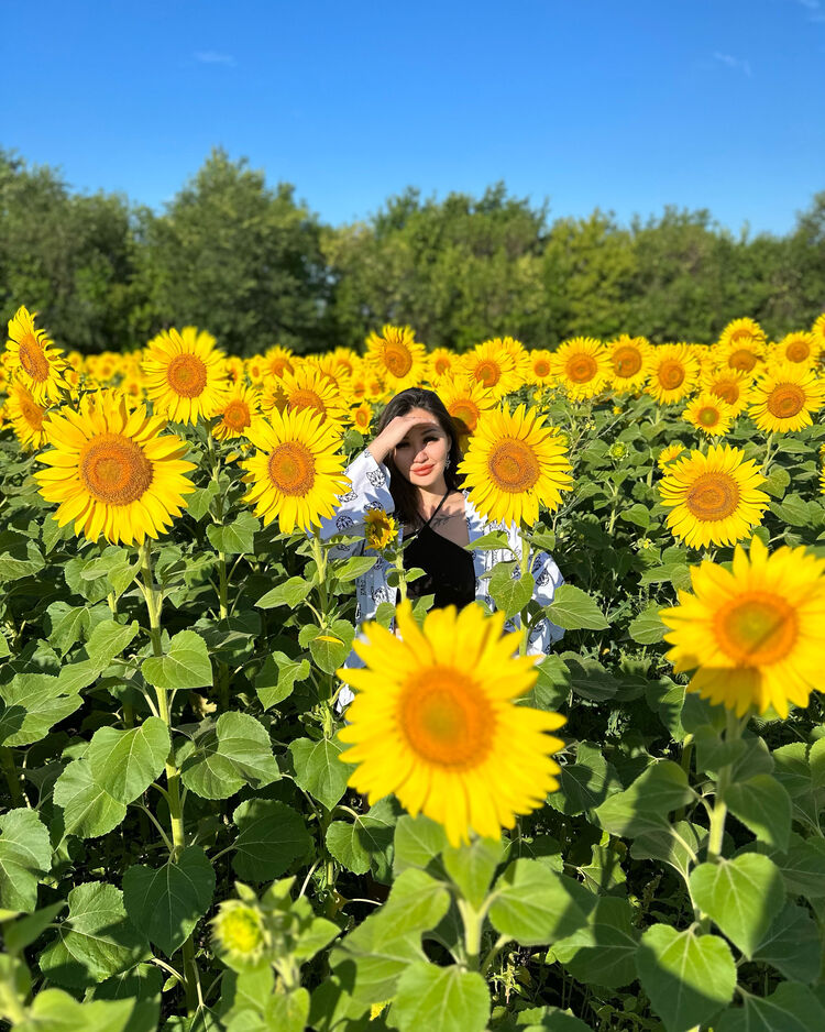  ,   , 24 ,  