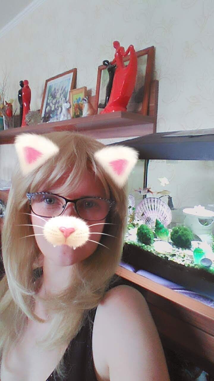  -,   , 50 ,   c 