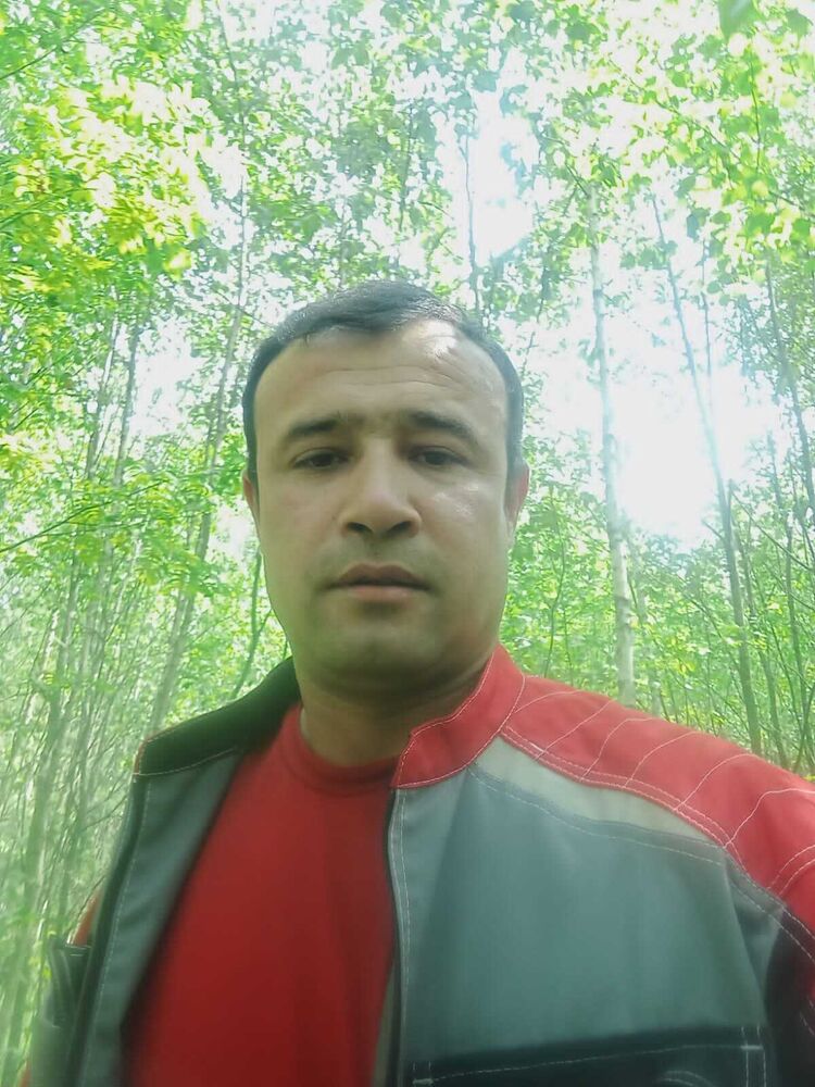 ���� 36043500 ������� ������, 40 ���, ���� ���������� � �����-����������