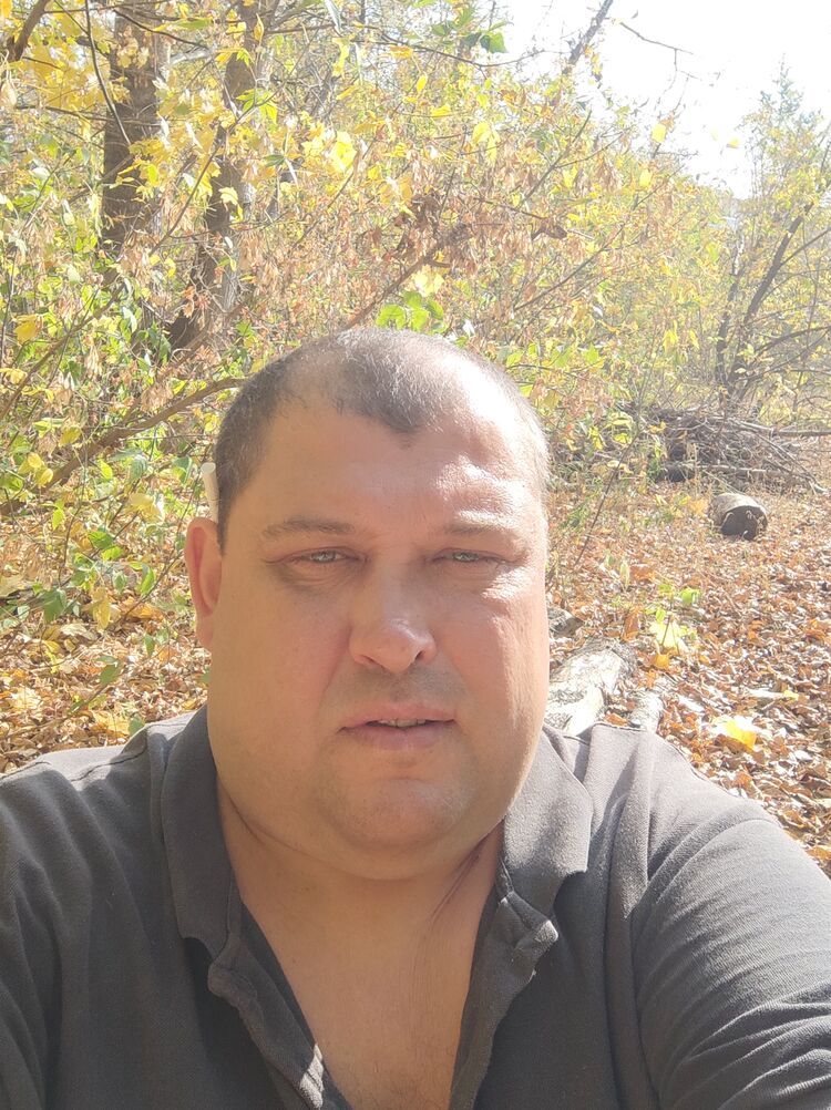  38579730  , 42 ,    