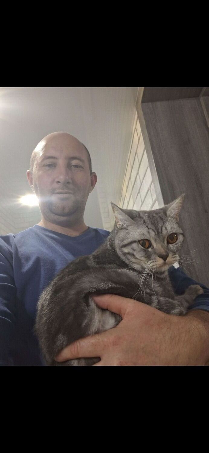 ���� 55508740 ������� ����, 37 ���, ���� ���������� � ���������