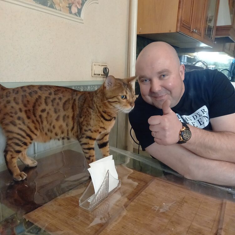 ���� 53698720 ������� ���������, 38 ���, ���� ���������� � ������