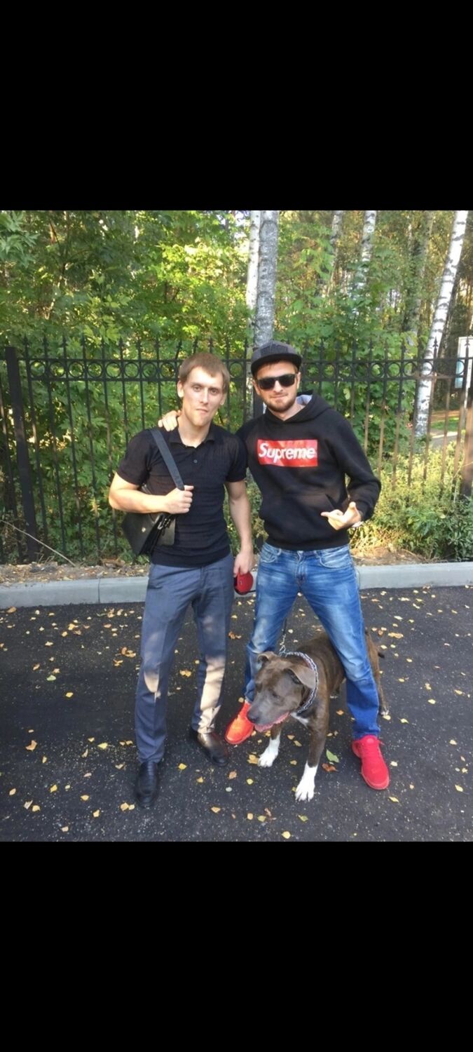 ���������� ������, ���� ������� ������, 36 ���, ������������ ��� ������, ����� � ���������