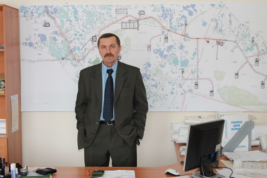 ���� 56063850 ������� �������, 65 ���, ���� ���������� � �����